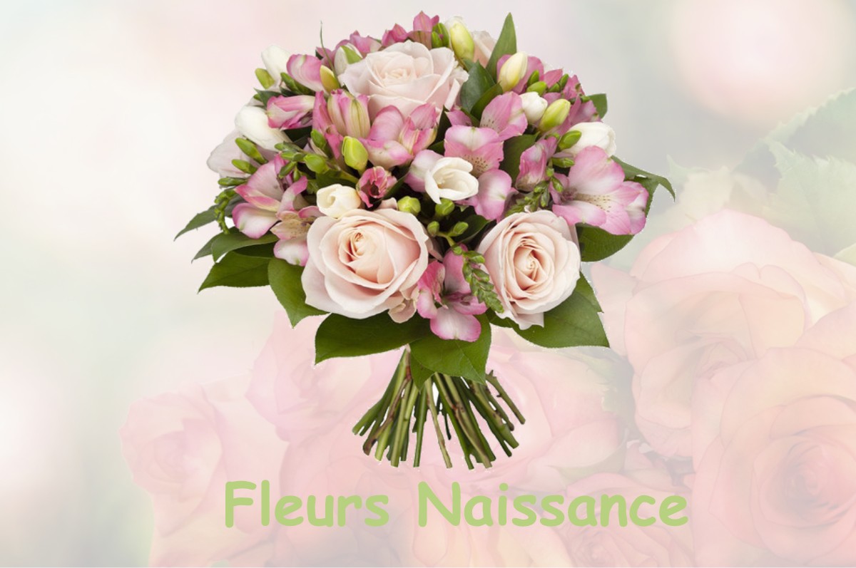 fleurs naissance BOUSSAN